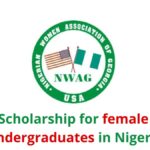 NWAG Scholarship Program for Nigerian Students 2024